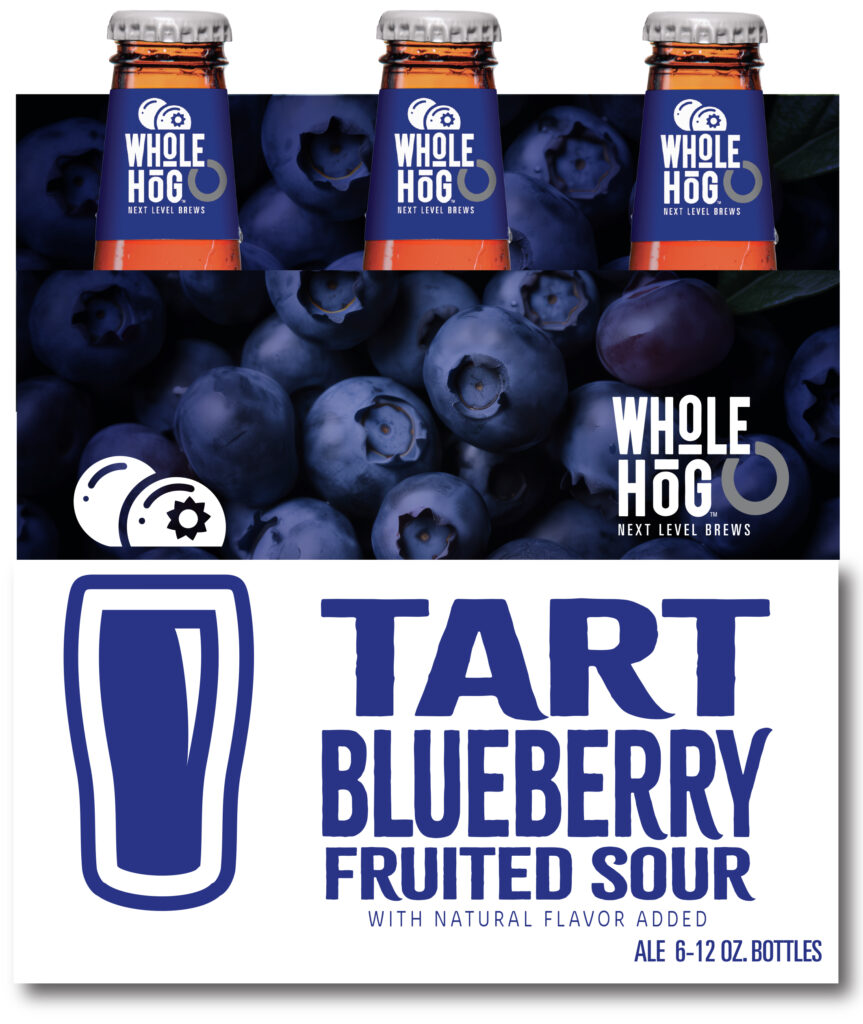Blueberry6PackMock